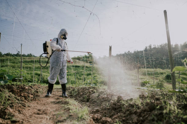 Best Affordable Exterminators  in Canyonville, OR