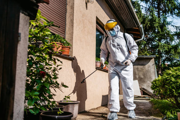 Best Best Pest Control Companies  in Canyonville, OR