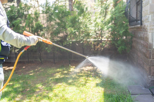 Wasp Removal Services in Canyonville, OR